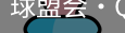 球盟会